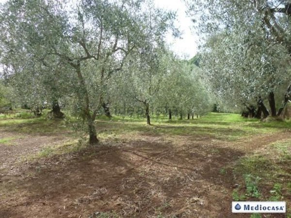terreno edificabile in vendita a Montefiascone