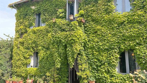casa indipendente in vendita a Montefiascone in zona Capobianco