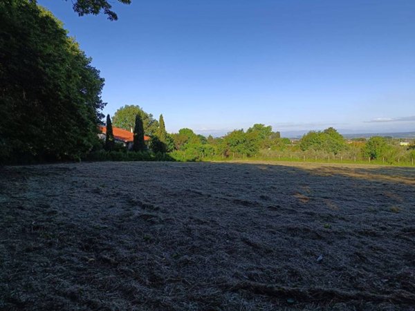 terreno agricolo in vendita a Montefiascone