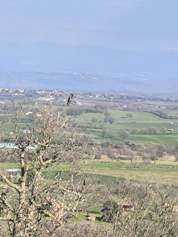 casa indipendente in vendita a Montefiascone in zona Zepponami