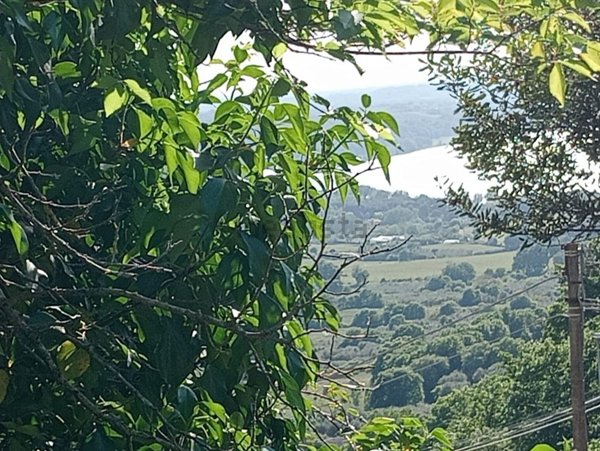 casa indipendente in vendita a Montefiascone
