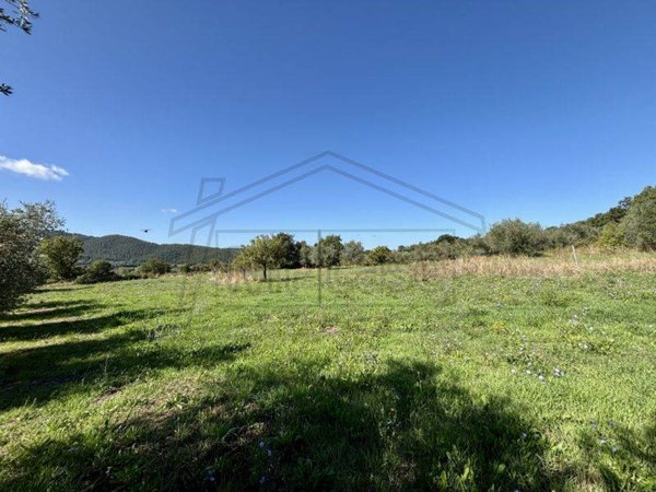 terreno agricolo in vendita a Montefiascone in zona Le Coste