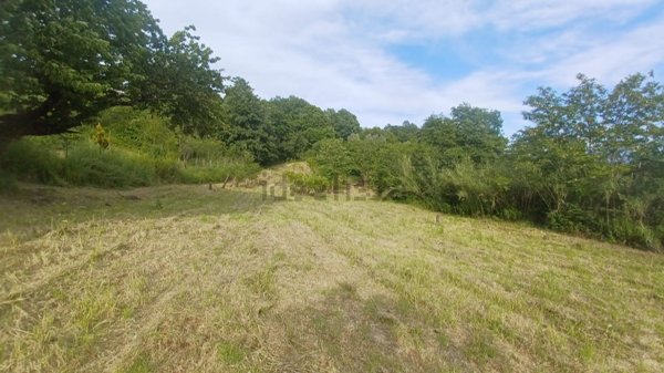 terreno agricolo in vendita a Montefiascone
