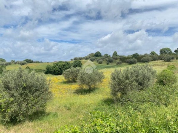 casa indipendente in vendita a Montefiascone