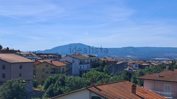 quadrivano in vendita a Montefiascone