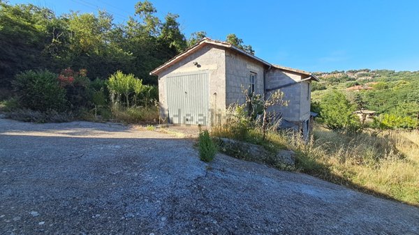 appartamento in vendita a Montefiascone