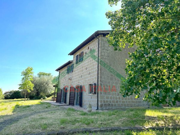 casa indipendente in vendita a Montefiascone in zona Mentuccia
