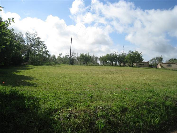 terreno agricolo in vendita a Montefiascone in zona Poggio Frusta
