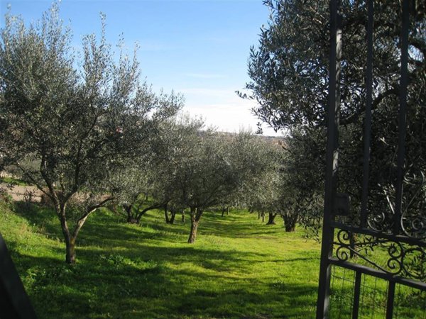 terreno agricolo in vendita a Montefiascone in zona Mentuccia