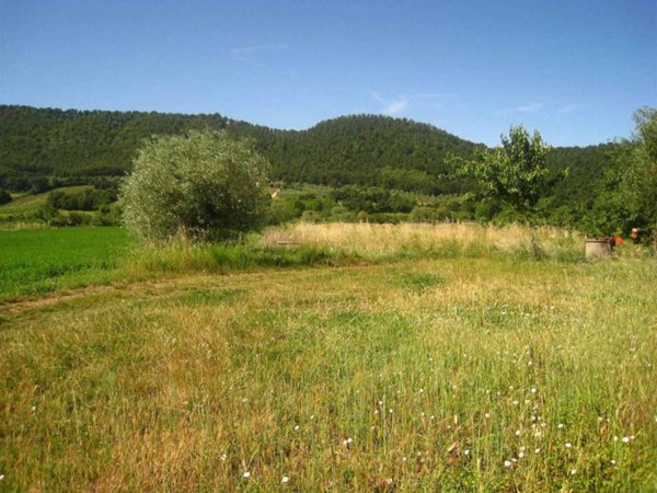 terreno agricolo in vendita a Montefiascone in zona Poggio Frusta