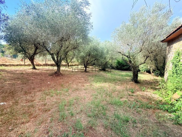 locale di sgombero in vendita a Montefiascone