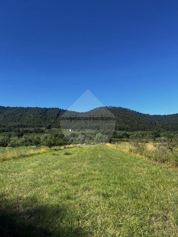 terreno agricolo in vendita a Montefiascone