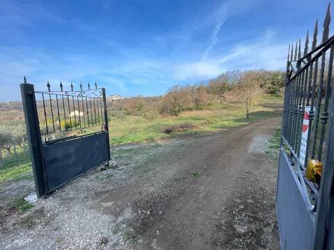 terreno agricolo in vendita a Montefiascone in zona Zepponami