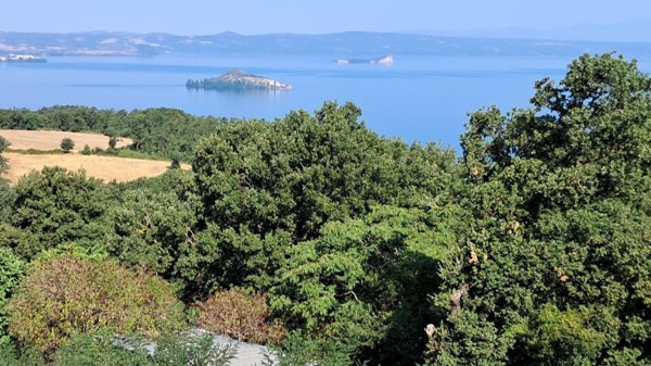 appartamento in vendita a Montefiascone