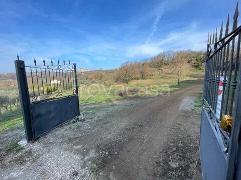casa indipendente in vendita a Montefiascone in zona Zepponami