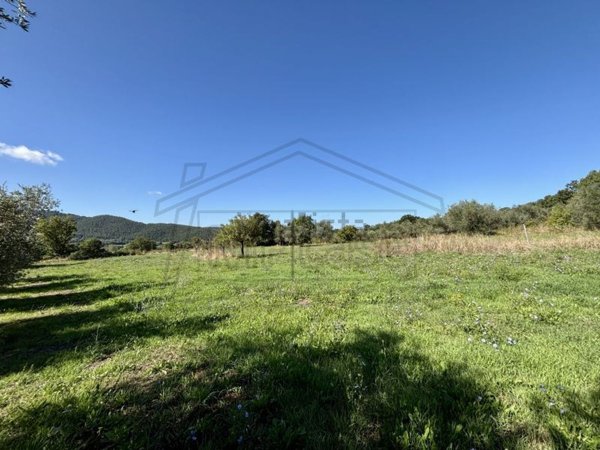 terreno agricolo in vendita a Montefiascone in zona Poggio Frusta