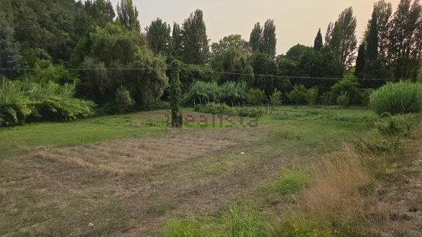 terreno agricolo in vendita a Montefiascone
