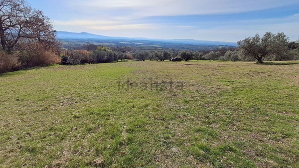 terreno in vendita a Montefiascone