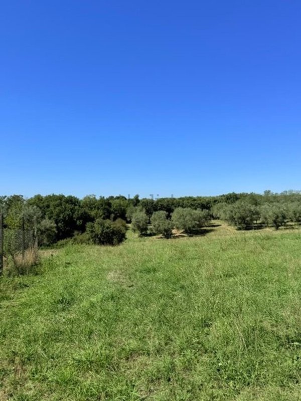 terreno in vendita a Montefiascone in zona Mentuccia