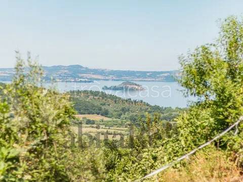 terreno in vendita a Montefiascone