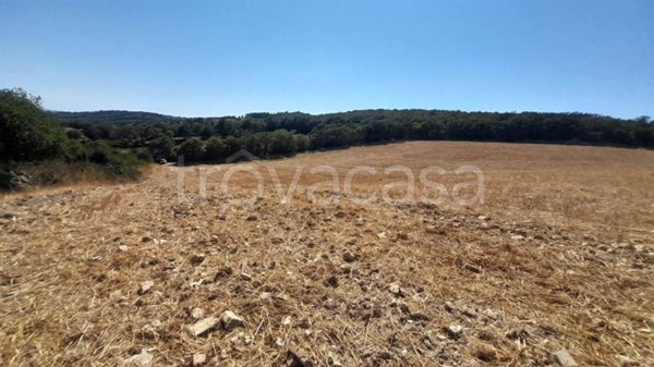 terreno agricolo in vendita a Monte Romano