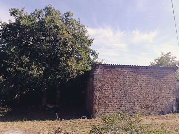 casa indipendente in vendita a Monte Romano