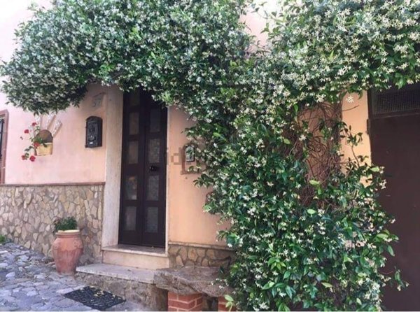 appartamento in vendita a Monte Romano
