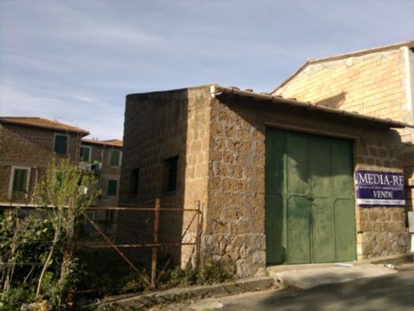 casa indipendente in vendita a Monte Romano