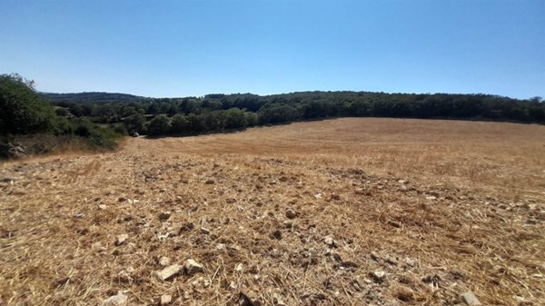 terreno agricolo in vendita a Monte Romano