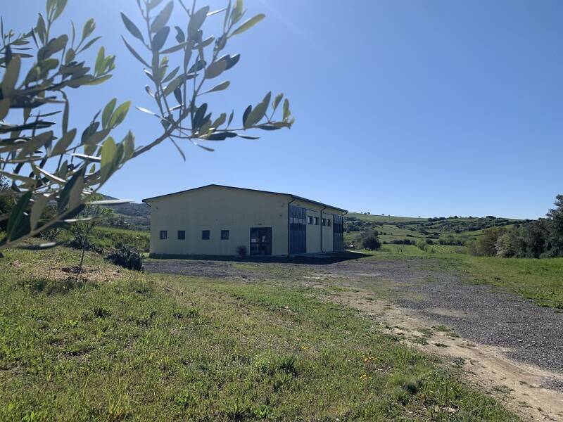 ufficio in vendita a Monte Romano