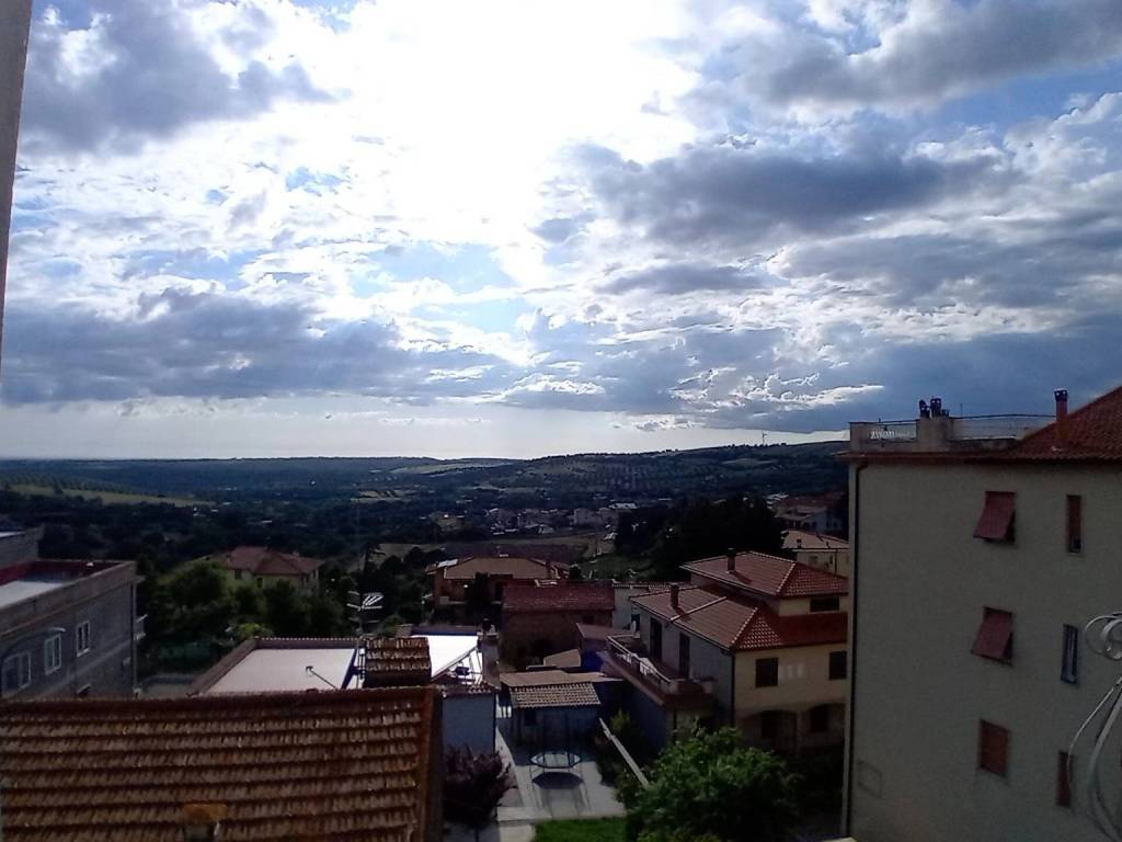appartamento in vendita a Monte Romano