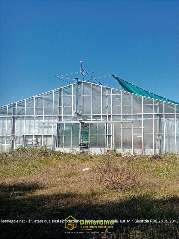 ufficio in vendita a Monte Romano