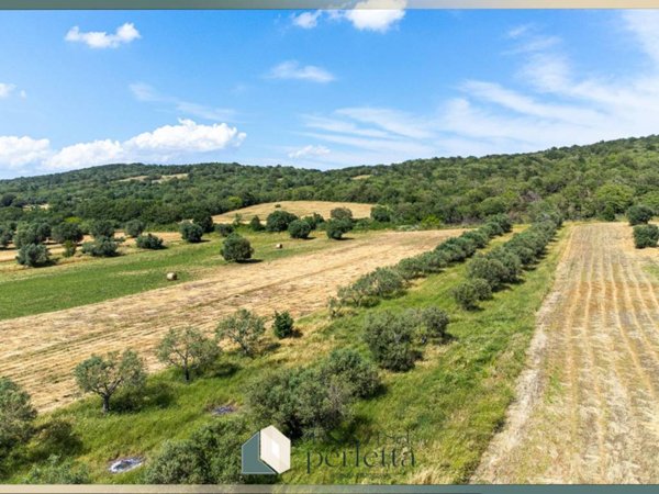 terreno agricolo in vendita a Monte Romano