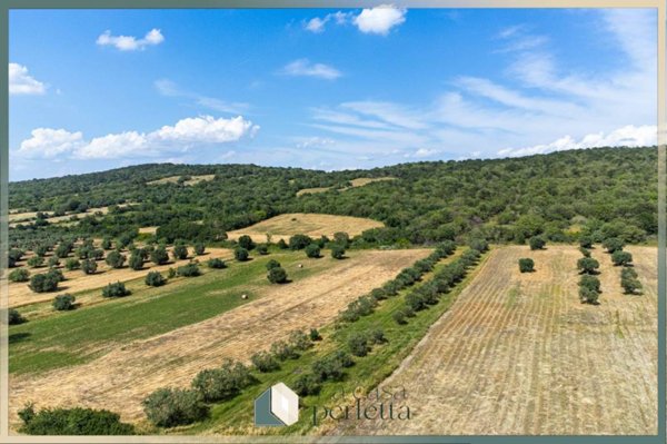 terreno agricolo in vendita a Monte Romano