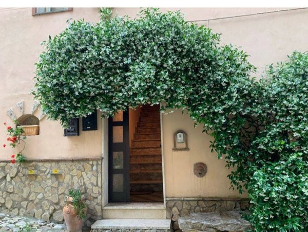 appartamento in vendita a Monte Romano