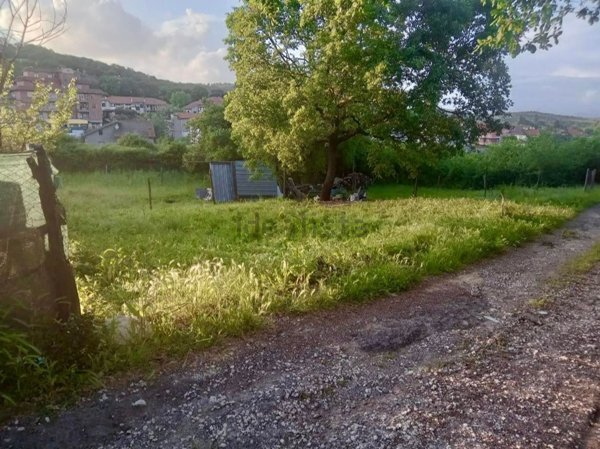 terreno agricolo in vendita a Monte Romano