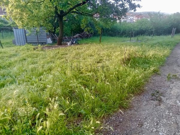 terreno agricolo in vendita a Monte Romano