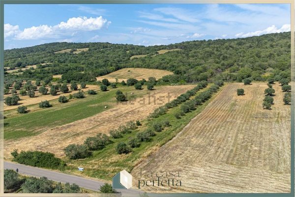 terreno agricolo in vendita a Monte Romano