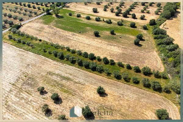 terreno agricolo in vendita a Monte Romano