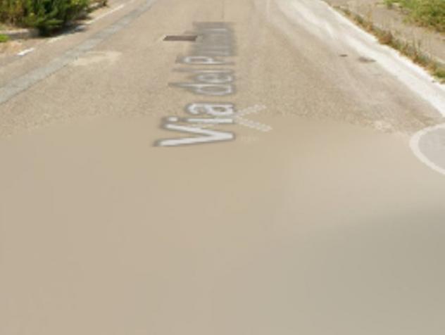 pentavano in vendita a Monte Romano