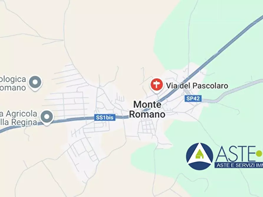 appartamento in vendita a Monte Romano