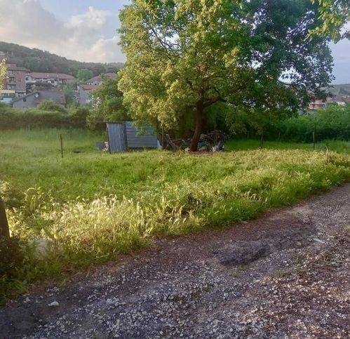 terreno agricolo in vendita a Monte Romano