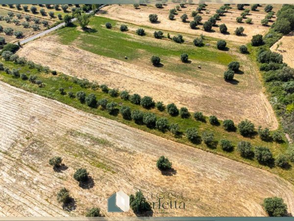 terreno agricolo in vendita a Monte Romano