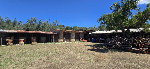 appartamento in vendita a Monte Romano