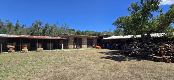 appartamento in vendita a Monte Romano