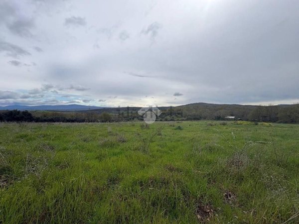 terreno agricolo in vendita a Monte Romano