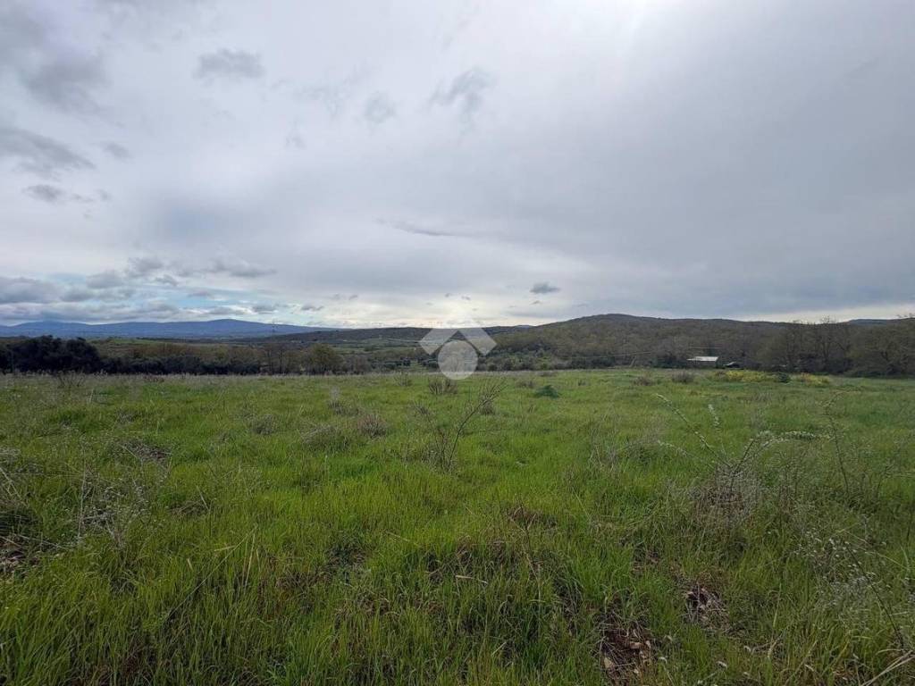 terreno agricolo in vendita a Monte Romano