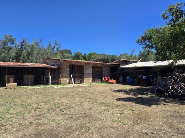 appartamento in vendita a Monte Romano