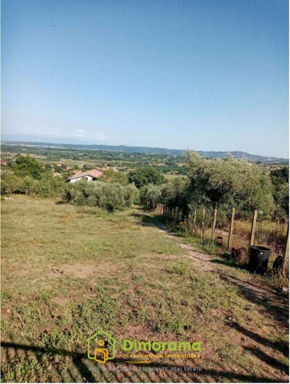 terreno agricolo in vendita a Monterosi