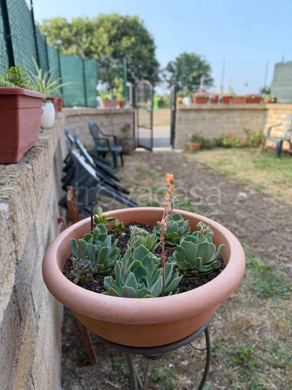 appartamento in vendita a Monterosi